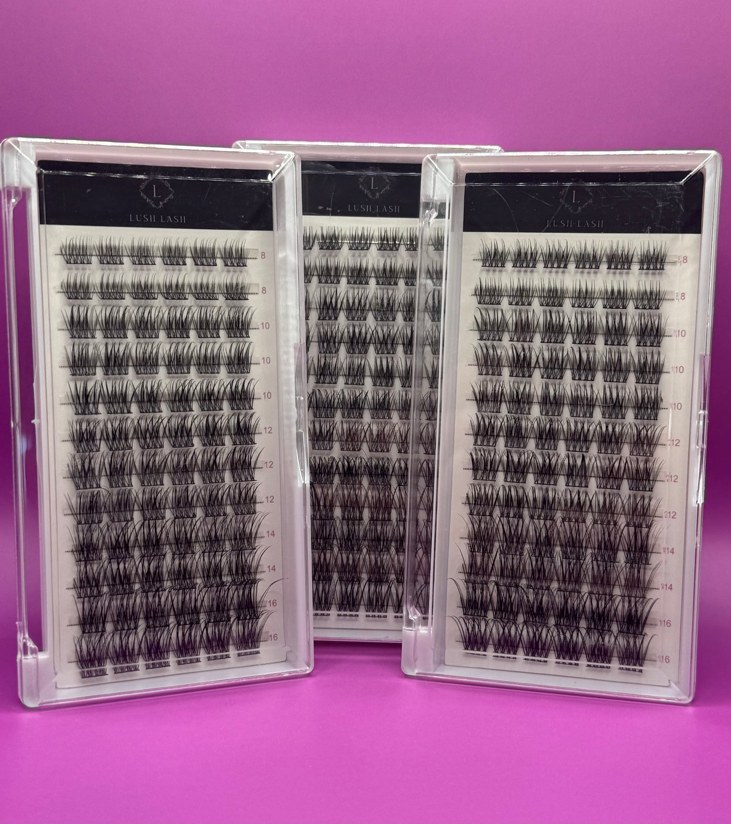 Refill Tray: Classic Lash